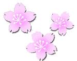 3sakura